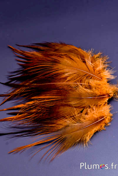 Grue - 12-14 cm - cognac